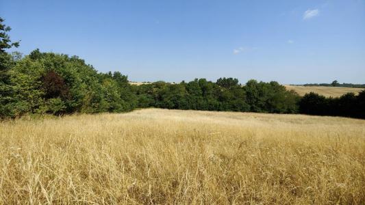 Vente Maison 4 pices NAILLOUX 31560