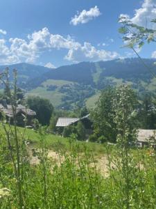 Vente Terrain MEGEVE 74120