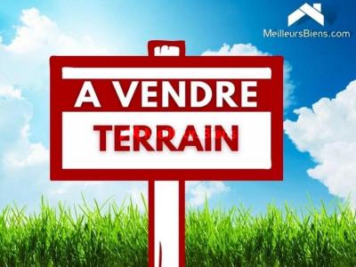 Vente Terrain TAPONAS 69220