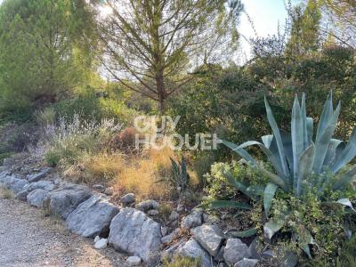 Vente Terrain VAILHAUQUES 34570