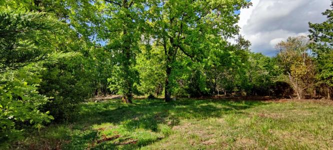 Vente Terrain VILLEFRANCHE-DE-LONCHAT 24610