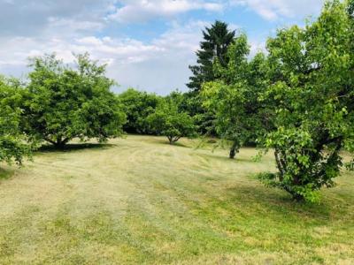 Vente Terrain CRAPEAUMESNIL 60310