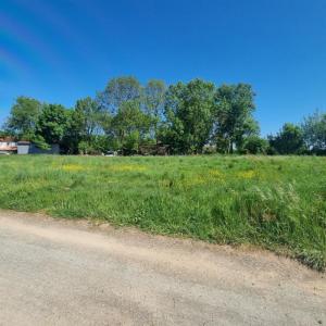 Vente Terrain JONCHERE 85540