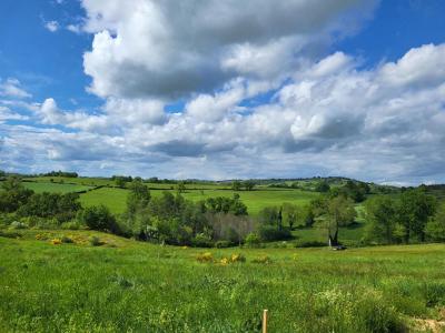 Vente Terrain BALBIGNY 42510