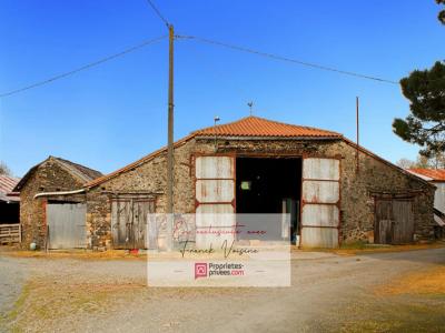 Vente Maison 3 pices MOUCHAMPS 85640