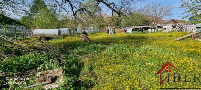 Vente Terrain HOPITAL-DU-GROSBOIS 25620