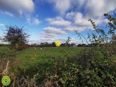 Vente Terrain SANCOINS 18600