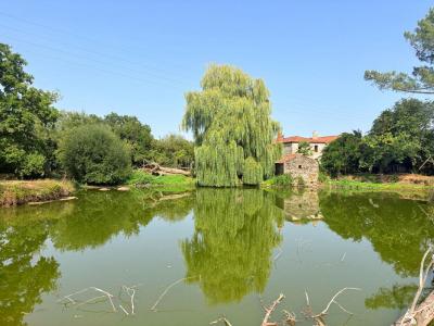 Vente Maison 7 pices CUGAND 85610