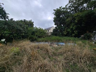 Vente Terrain LONGPONT-SUR-ORGE 91310