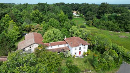 Vente Prestige SAINT-JEAN-DE-MARSACQ 40230