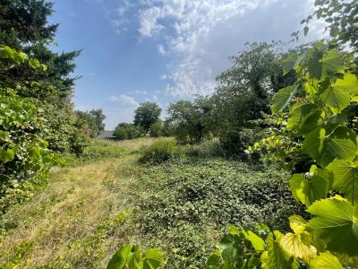 Vente Terrain CHATEAU-RENARD 45220