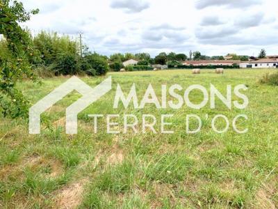 Vente Terrain SEMALENS 81570
