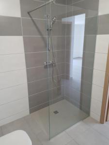 Location Appartement 2 pices PFASTATT 68120