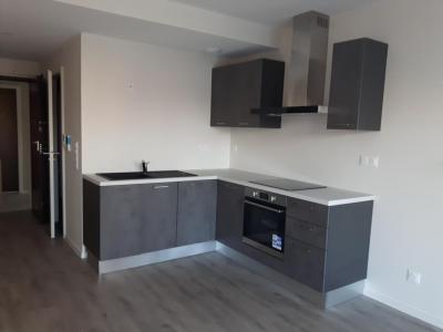 Location Appartement 2 pices ILLZACH 68110