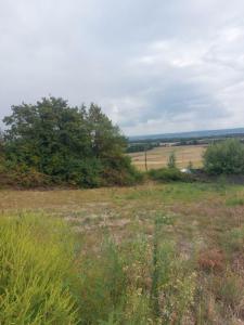 Vente Terrain PISIEU 38270