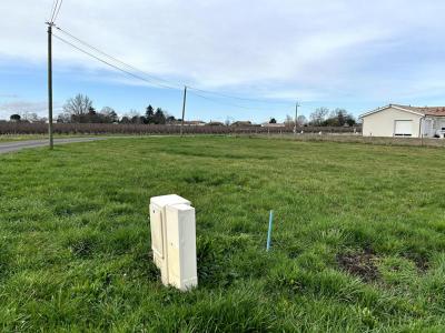 Vente Terrain BLAYE 33390