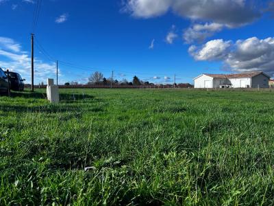 Vente Terrain BLAYE 33390