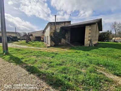 Vente Maison 10 pices SAINT-DENIS-DE-PILE 33910