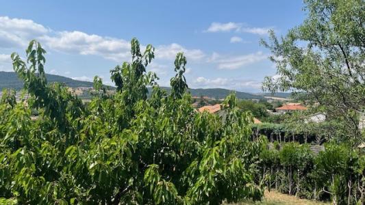 Vente Terrain SAVAS 07430