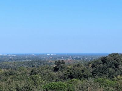 Vente Terrain MONTESQUIEU-DES-ALBERES 66740