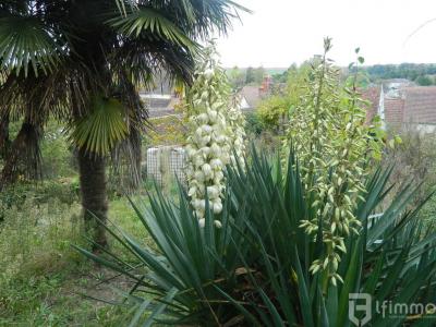Vente Immeuble NEUILLY-SAINT-FRONT 02470