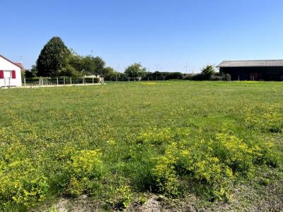 Vente Terrain GRANDES-CHAPELLES 10170