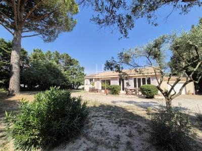 Vente Maison 6 pices SAINT-ETIENNE-DU-GRES 13103