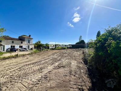 Vente Terrain SAINT-ANDRE-DE-CUBZAC 33240
