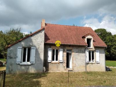 Vente Maison 2 pices SAINT-DENIS-DE-JOUHET 36230