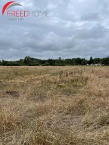Vente Terrain SAINT-CHRISTOLY-DE-BLAYE 33920