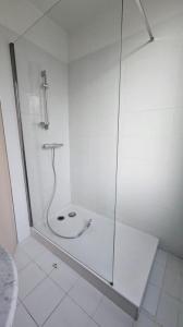 Location Appartement 4 pices THEYS 38570