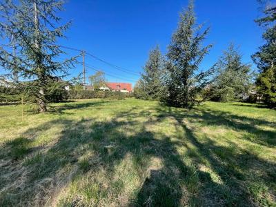 Vente Terrain SOLTERRE 45700