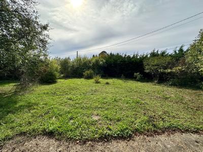 Vente Terrain SOUPPES-SUR-LOING 77460