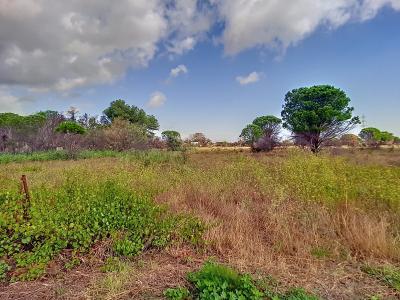 Vente Terrain PALAU-DEL-VIDRE 66690