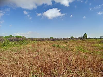 Vente Terrain PALAU-DEL-VIDRE 66690