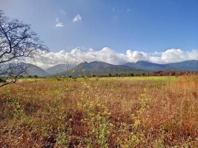 Vente Terrain PALAU-DEL-VIDRE 66690