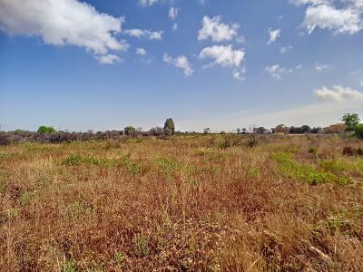 Vente Terrain PALAU-DEL-VIDRE 66690