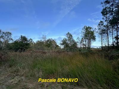 Vente Terrain VENDAYS-MONTALIVET 33930