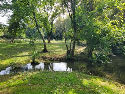 Vente Maison 10 pices LUSSAC-LES-CHATEAUX 86320