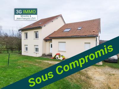Vente Maison 15 pices DELME 57590