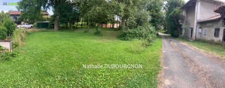 Vente Terrain DOMMARTIN 01380