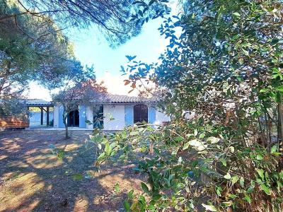 Vente Maison 5 pices SAINTES-MARIES-DE-LA-MER 13460