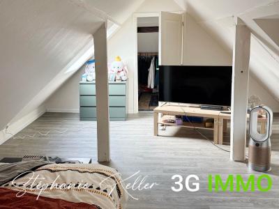 Vente Immeuble BALDENHEIM 67600