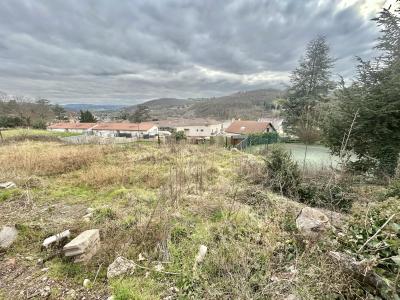 Vente Terrain FOUILLOUSE 42480
