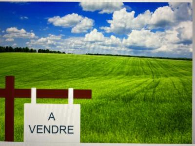 Vente Terrain SUNDHOUSE 67920