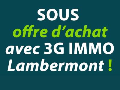 Vente Maison 10 pices MONT-SAINT-MARTIN 54350