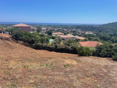 Vente Terrain FOLELLI 20213