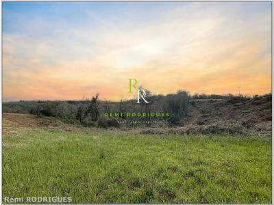 Vente Terrain ARGET 64410