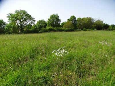 Vente Terrain ISLE-JOURDAIN 32600
