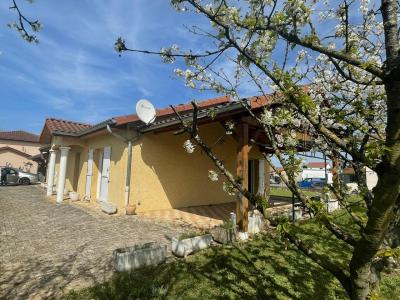 Vente Maison 5 pices SAINT-ROMAIN-DE-JALIONAS 38460